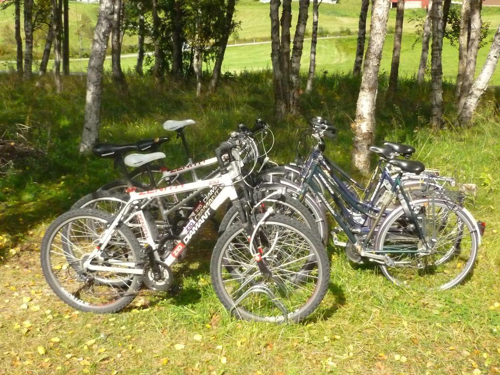 Birkelund Camping Geilo Εξωτερικό φωτογραφία